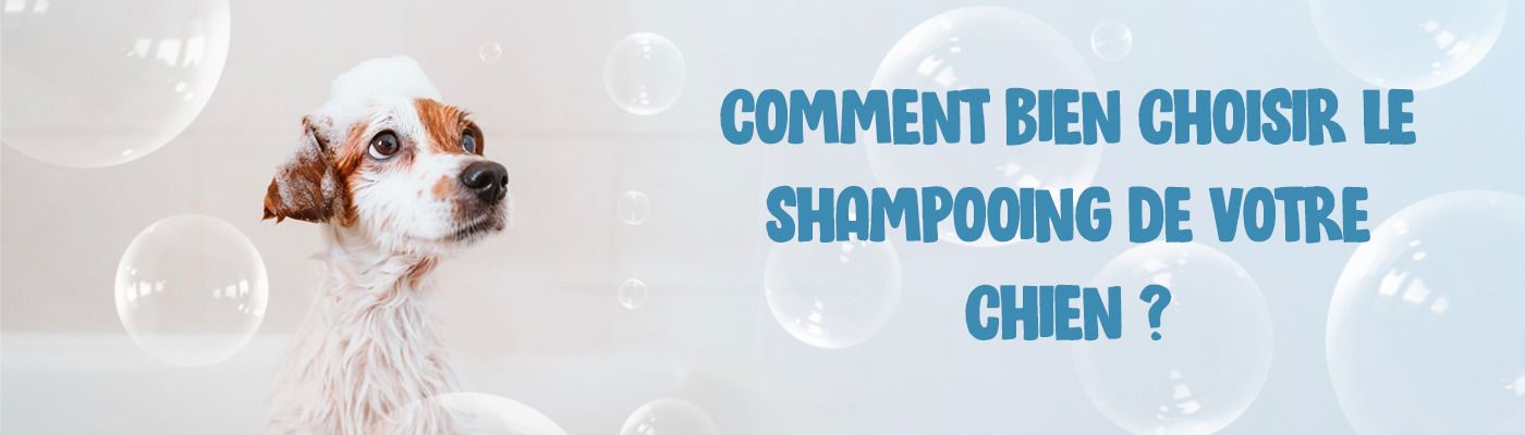 Comment bien choisir le shampooing de votre chien