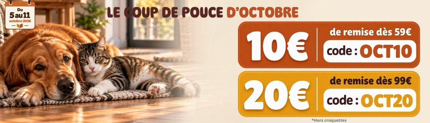 COUP DE POUCE