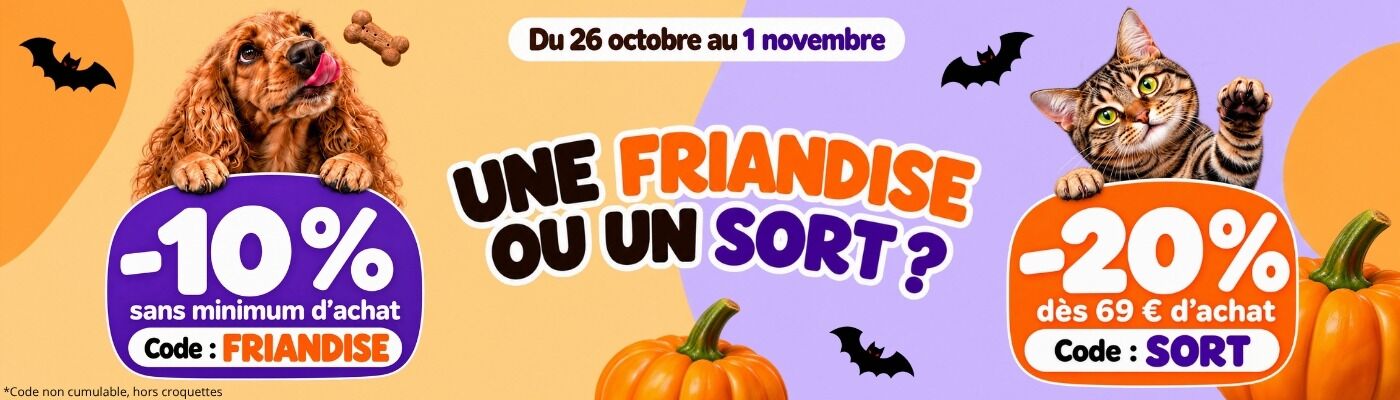 FRIANDISE OU UN SORT