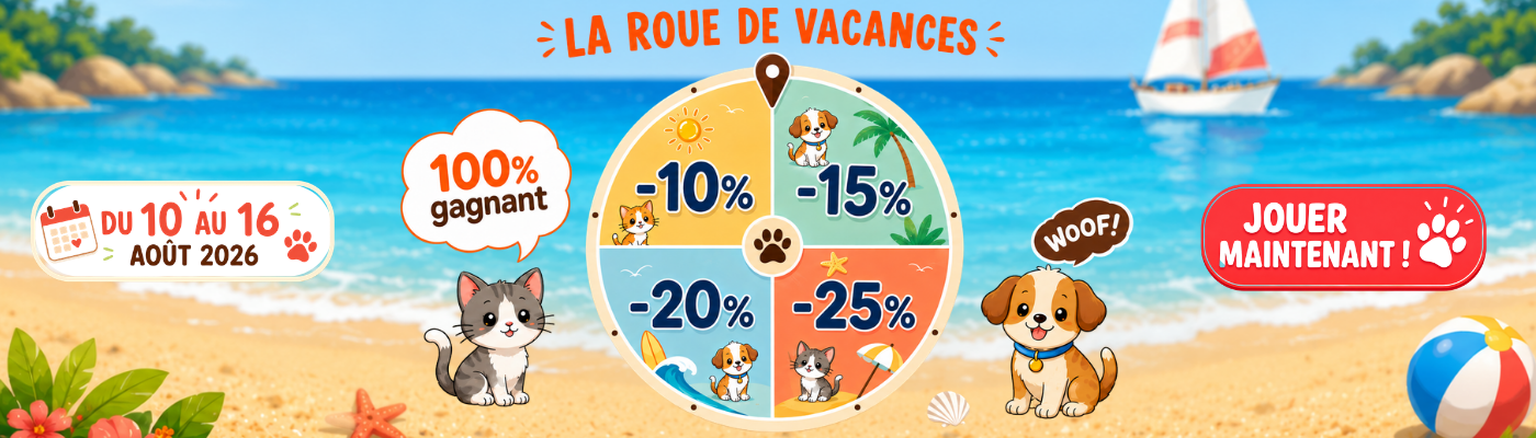 LA ROUE DES VACANCES