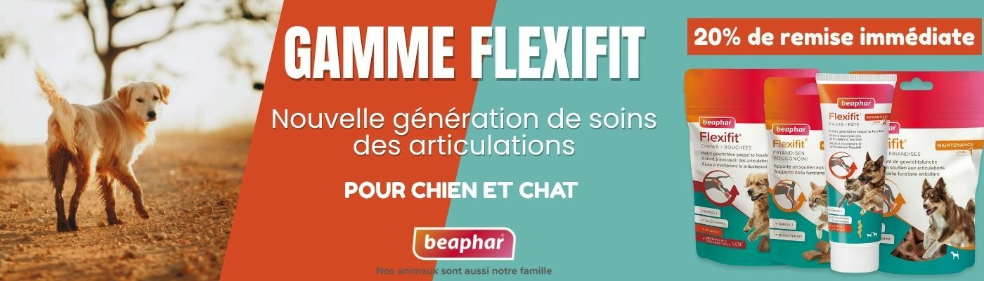 MISE EN AVANT FLEXIFIT