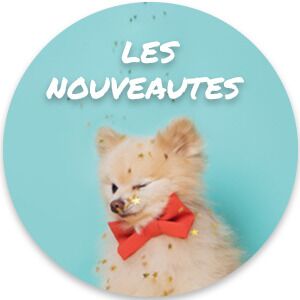 Nouveautés
