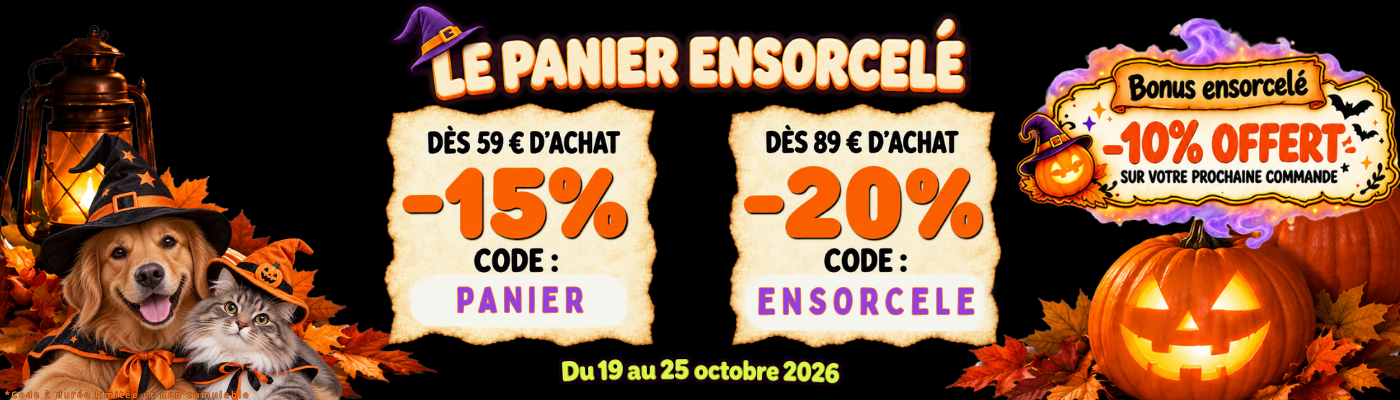 PANIER ENSORCELE