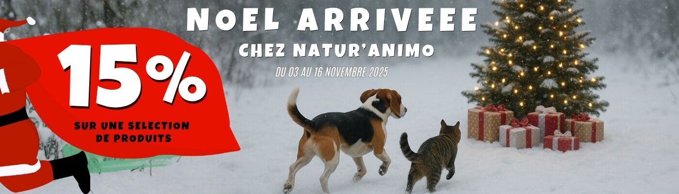 PROMO COCOONING 2025