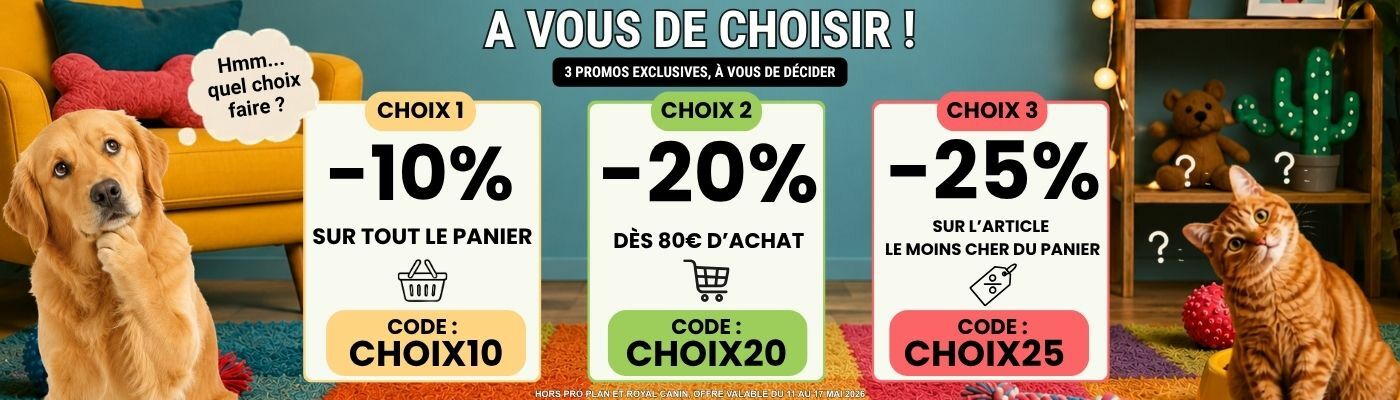 Promotion CHOIX