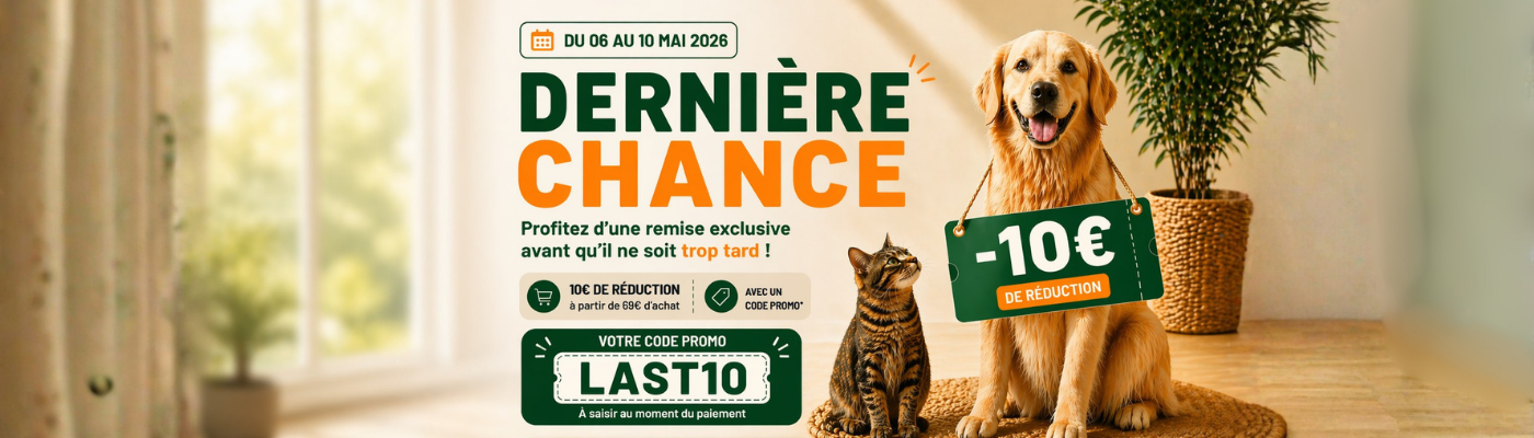 Promotion LAST CHANCE