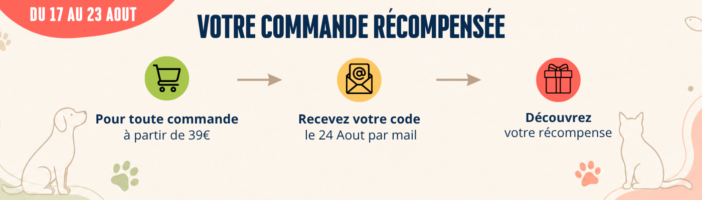 TICKET GAGNANT