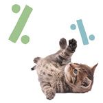 Chats