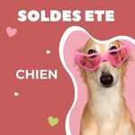 Chien