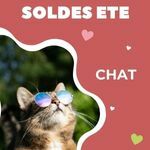 Chat