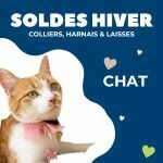 Colliers, harnais et laisses