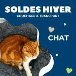 Couchage et transport