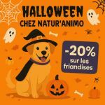 Friandises chiens
