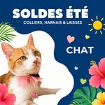 Colliers, harnais et laisses
