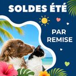 Par remise