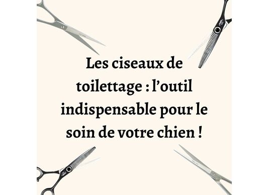 Les ciseaux de toilettage : l’outil indispensable pour le soin de votre chien