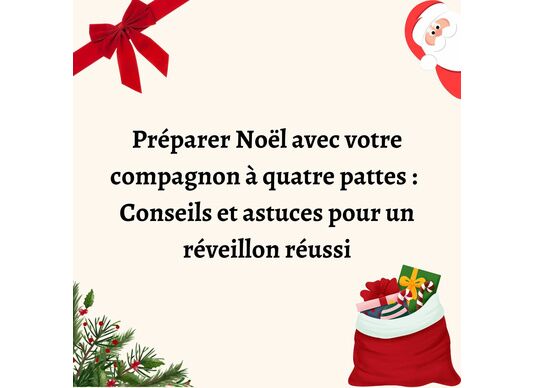 Préparer Noël avec votre compagnon à quatre pattes : Conseils et astuces pour un réveillon réussi