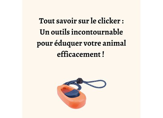 Tout savoir sur le clicker : Un outils incontournable pour éduquer votre animal efficacement !