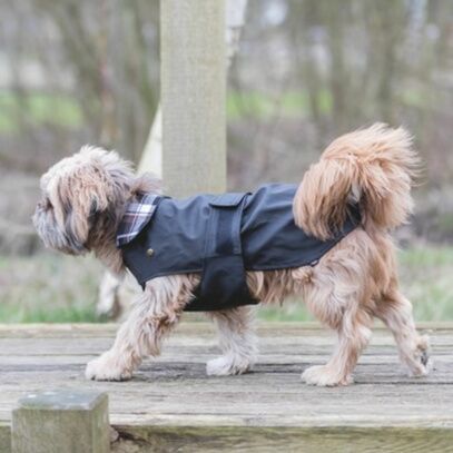 Imperméable Paris noir Trixie pour chien