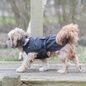 Imperméable Paris noir Trixie pour chien